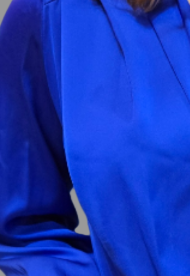 V-neck Body Suit Shirt