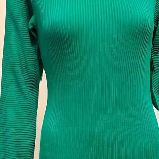 Elegant Body-Con Full Sleeves Dress